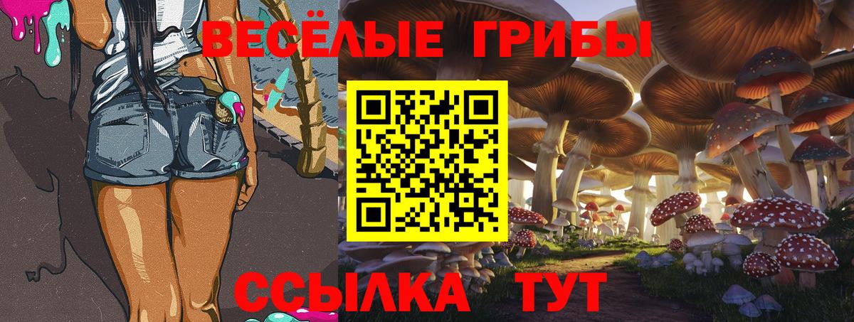 Лысьва  Галлюциногенные грибы Psilocybe  Вход с VPN 